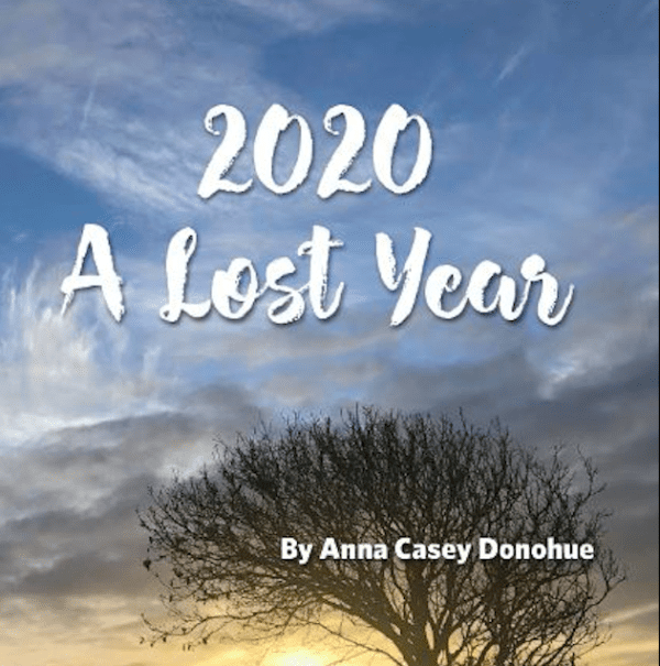 Book: 2020 A Lost Year